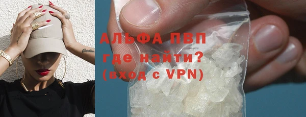 мяу мяу мука Абаза