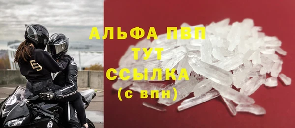 стаф Абинск