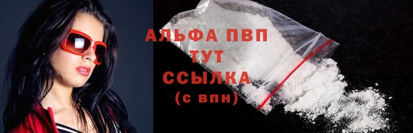 стаф Абинск