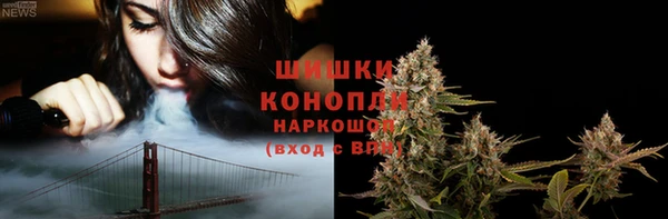 PSILOCYBIN Алзамай