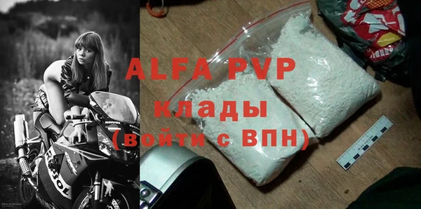 стаф Абинск