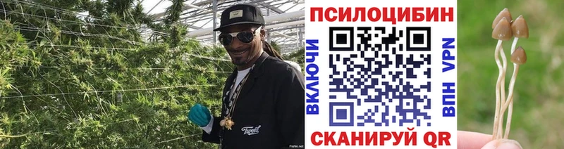 даркнет сайт  Чулым  Галлюциногенные грибы мухоморы 
